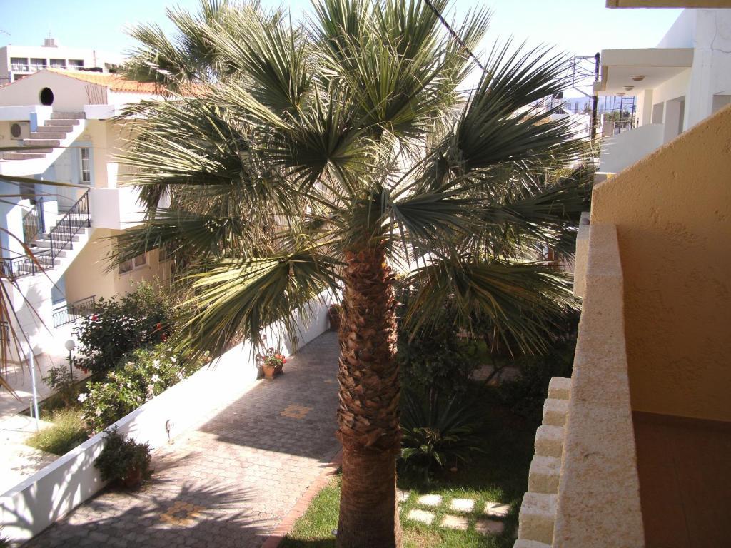 Lia Sofia Apartments Stalida 部屋 写真